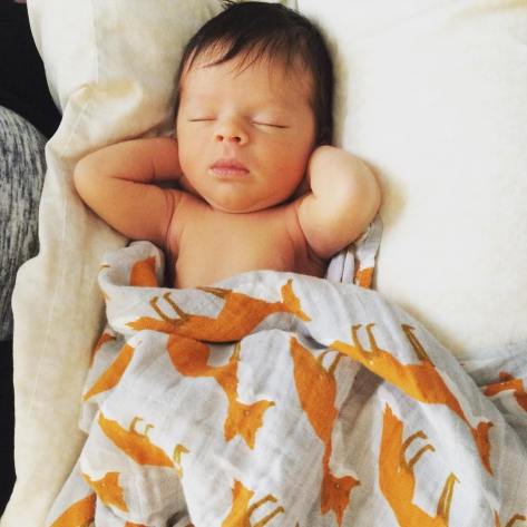 12622518_10156519236660037_2347070880901757750_o